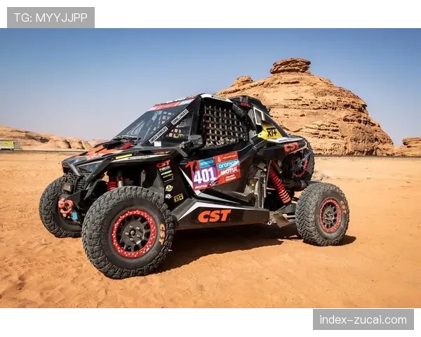 车队通过数据分析优化进站策略与轮胎选择