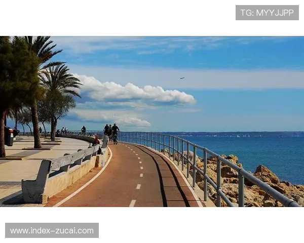 马略卡以防守艺术立足中游 场均失球少诠释效率至上